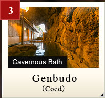 Cavernous Bath Genbudo(Coed)