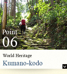 World Heritage Kumano-kodo Pilgrimage Route 