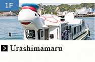 Urashimamaru