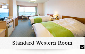 Standard Western Room